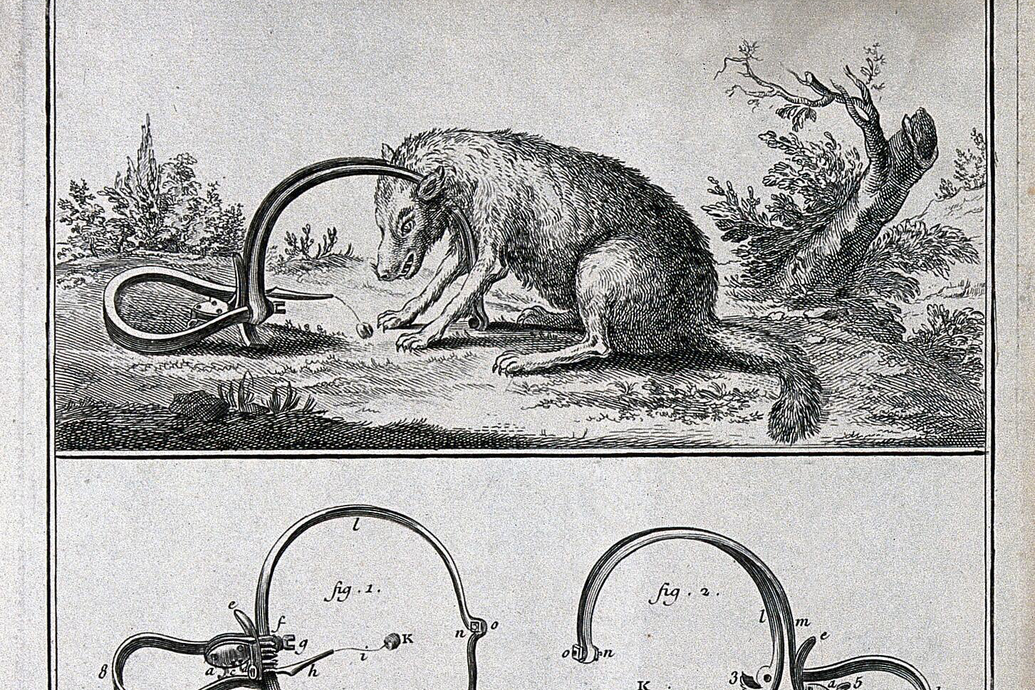 毛骨悚然的動物農莊