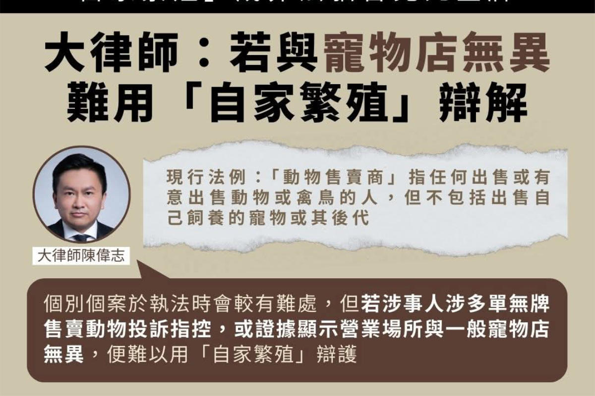 就「免費領養」貓隻接受獨立媒體訪問