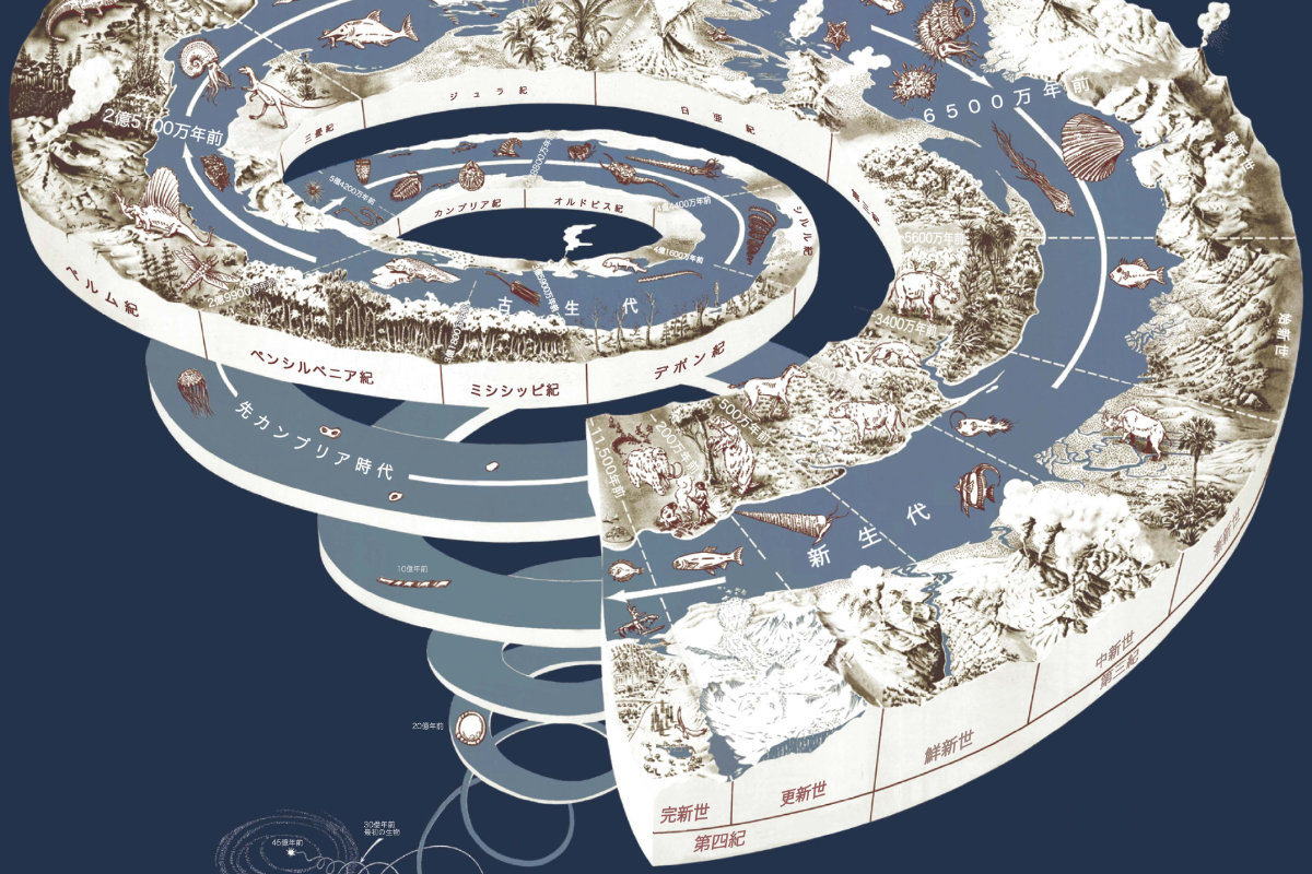 黃瑞芳案可追溯多久？