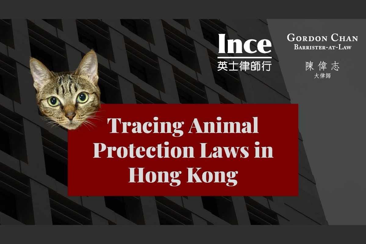 CPD Talk with Ince & Co Hong Kong on Tracing Animal Protection Laws in Hong Kong